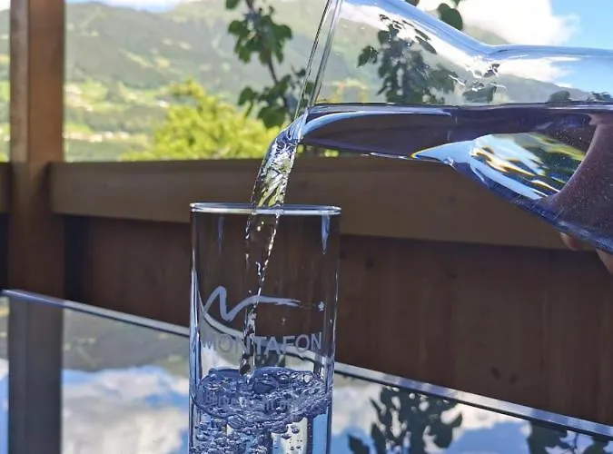 Daire Haus Sophia Tschagguns